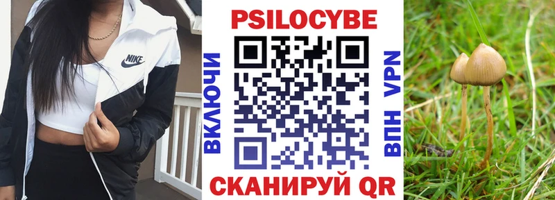 Псилоцибиновые грибы Cubensis  Купить  Уржум 